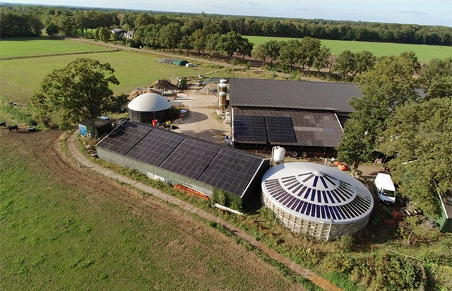 Sonderform Denekamp